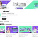 Audit Linkuma Ceos Conseil