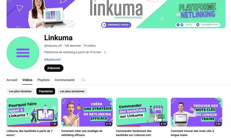 Audit Linkuma Ceos Conseil